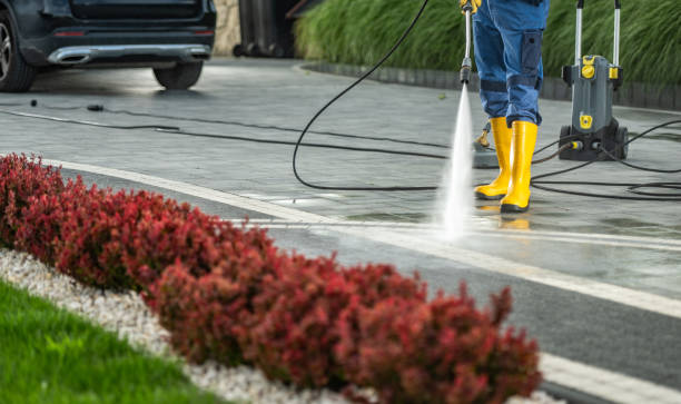 Best Solar Panel Cleaning  in Lost Hills, CA